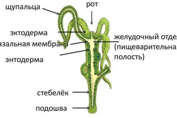 Войти даркнет