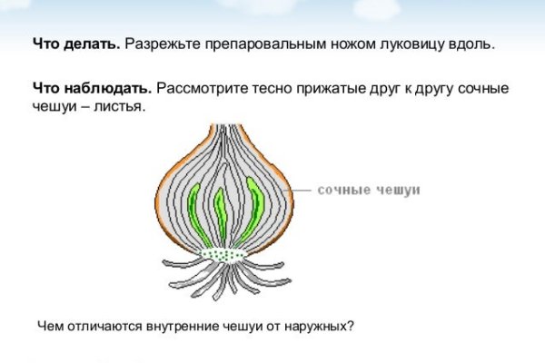Кракен аватарка маркетплейс