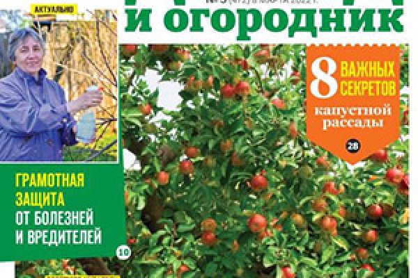 Кракен сайт krknwebs