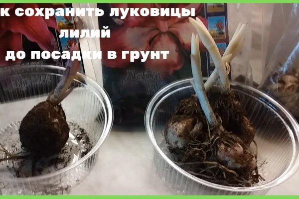 Kraken 19 at сайт