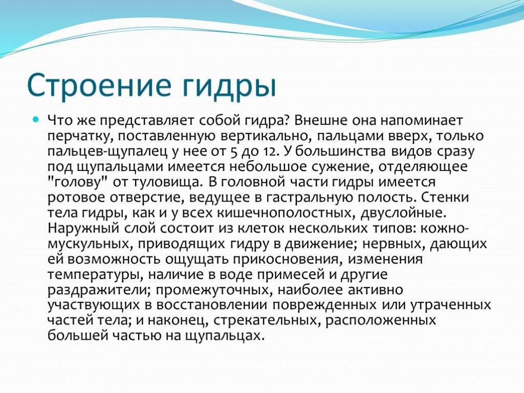 Рабочая ссылка кракен в тор